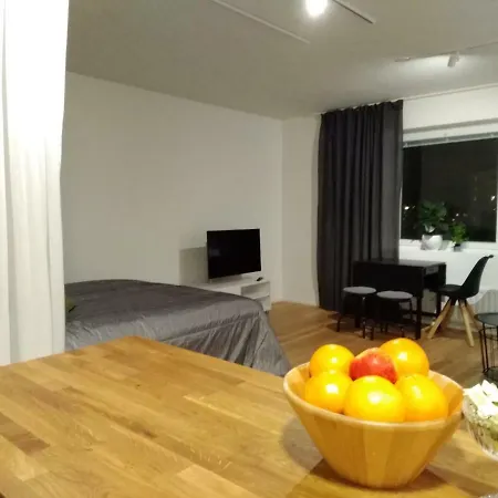 Studiohuoneisto Lohjan Keskusta Apartment