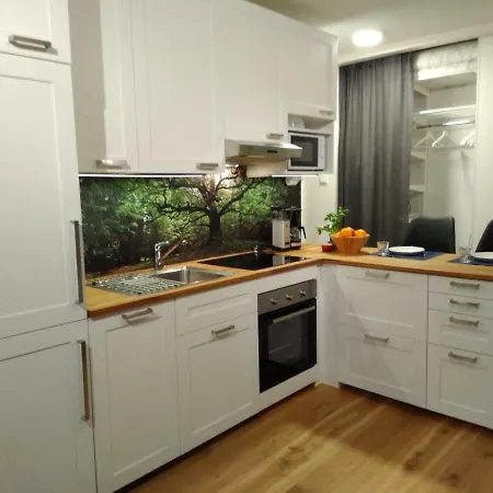 Studiohuoneisto Lohjan Keskusta *